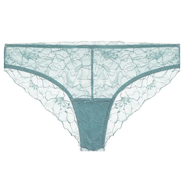 All Lace Glamour Brief