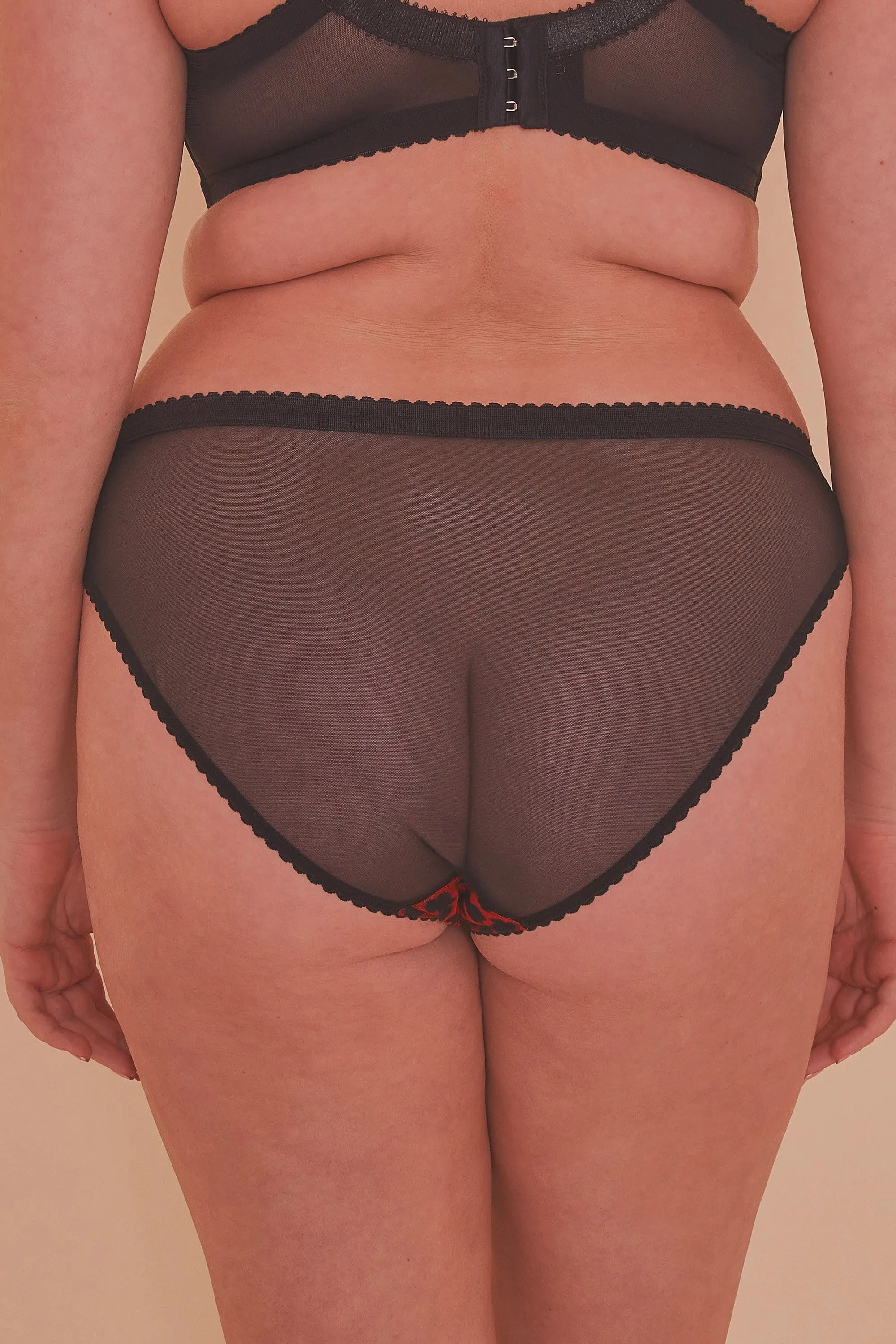 Josie Leopard Mesh Picot Cheeky Brazilian Brief Curve
