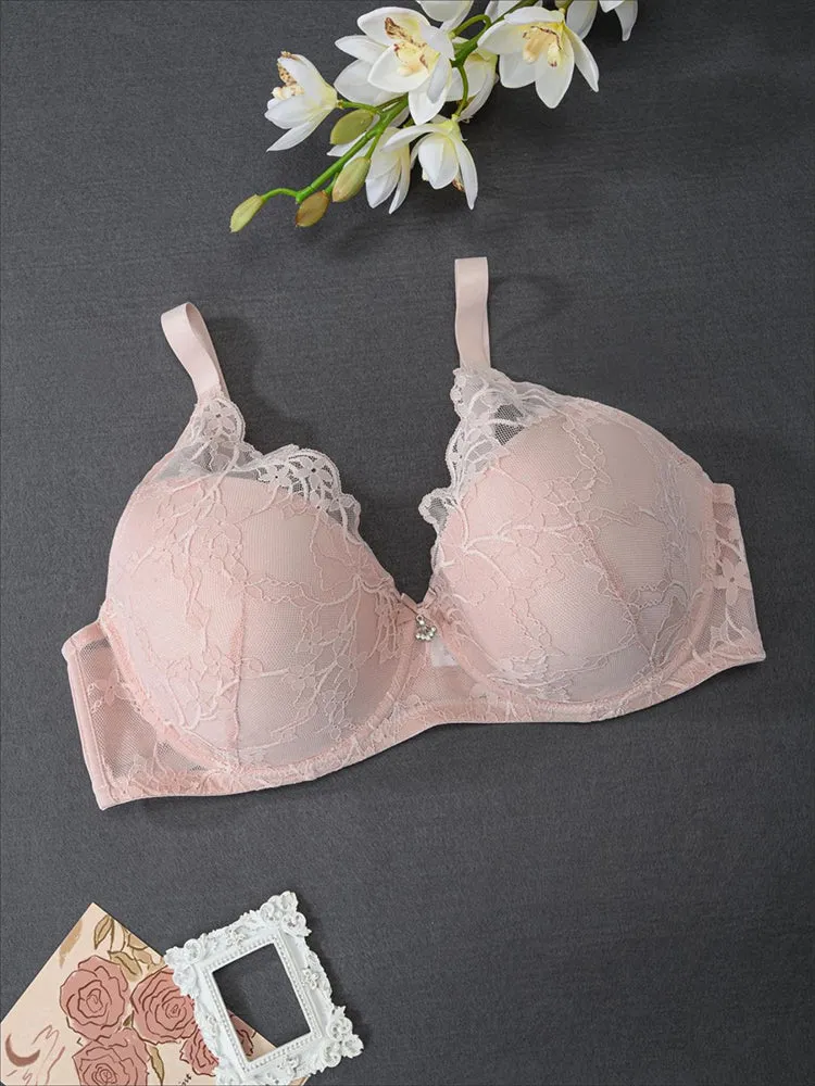 Plus Size Underwire Bra with Lace & Sheer Mesh