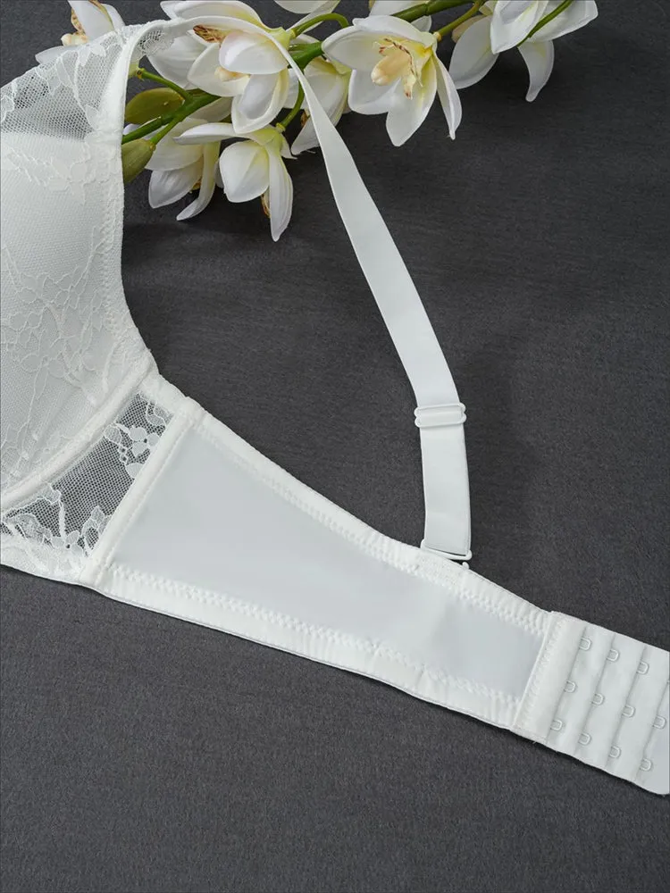 Plus Size Underwire Bra with Lace & Sheer Mesh