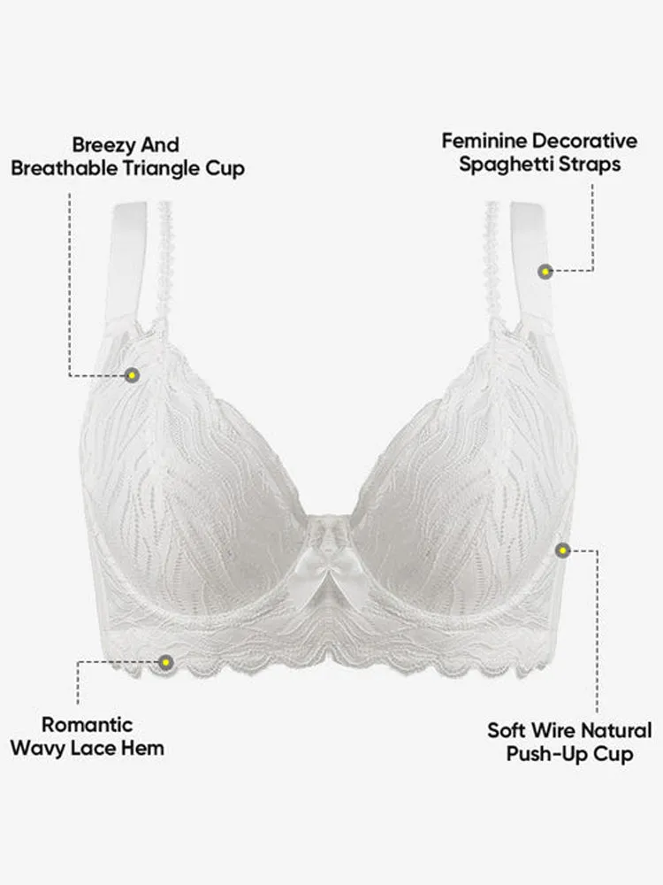 Sexy Lace Push Up Minimizer Bras