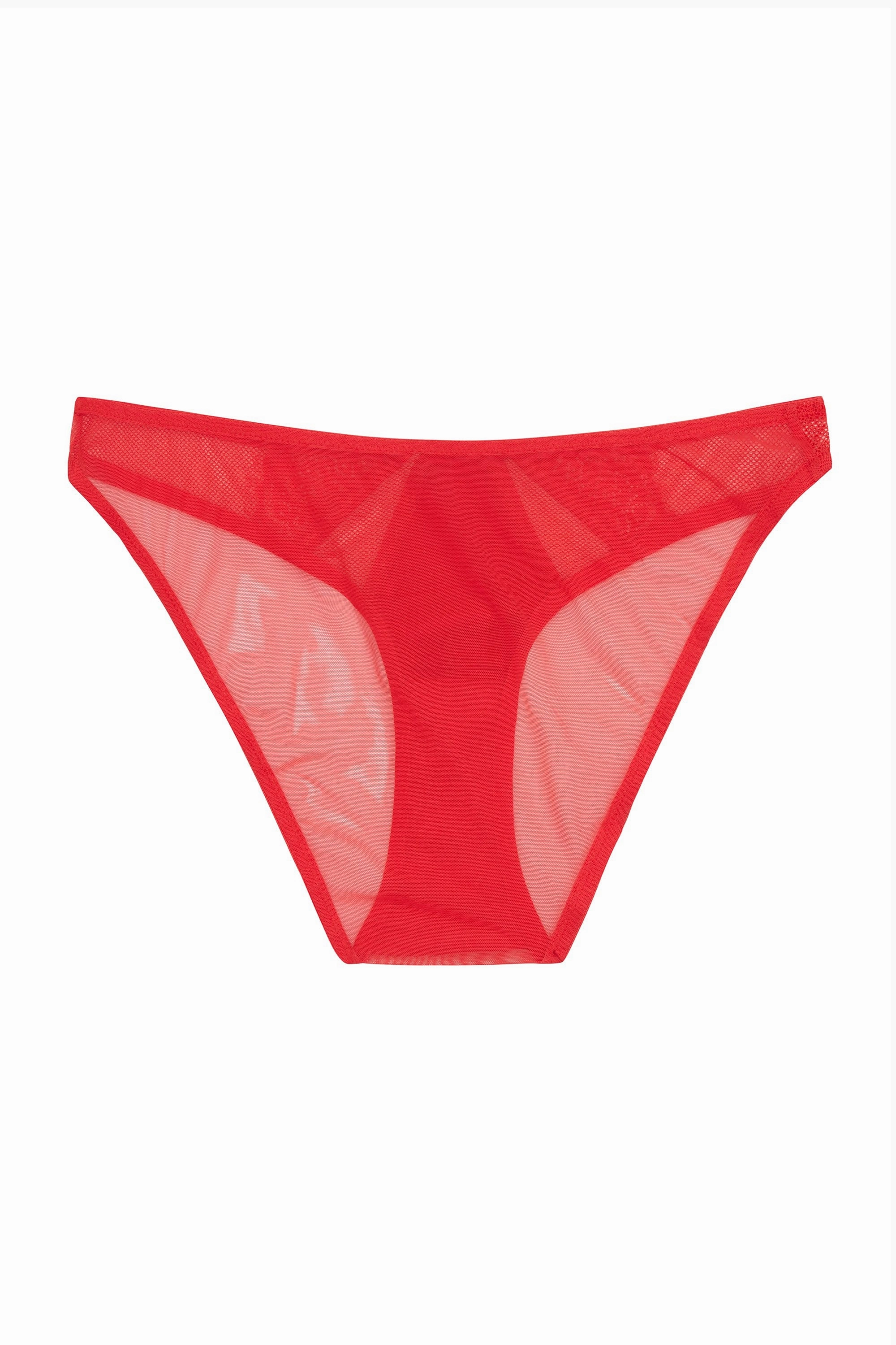 Zoya Curve Brief